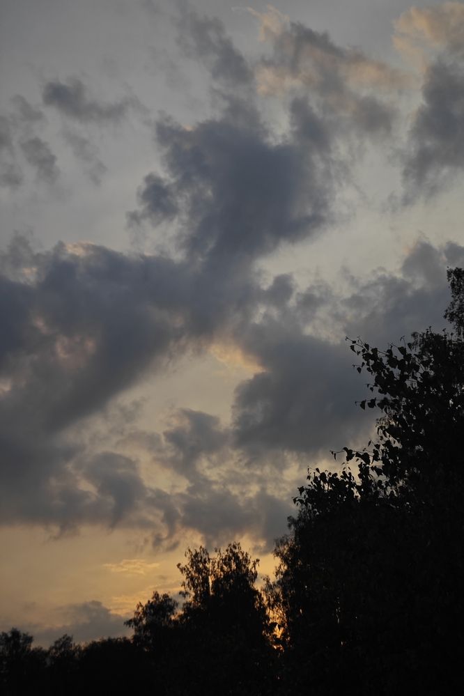 Photograph by Кристина Куликова