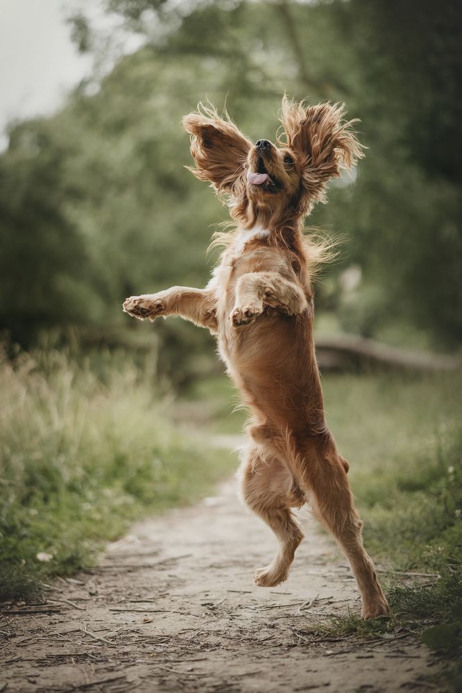 Photograph by Александра Пугачёва