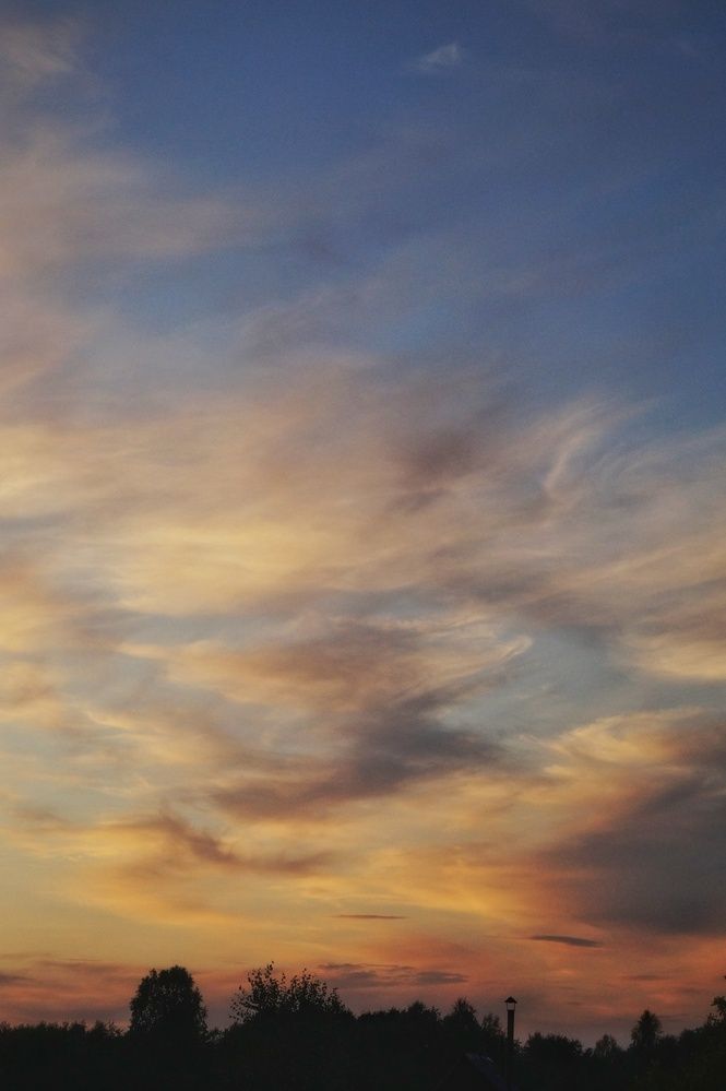 Photograph by Светлана Филина