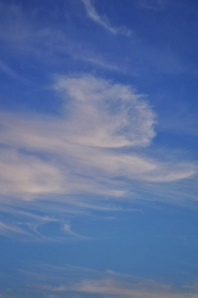 Photograph by Светлана Филина