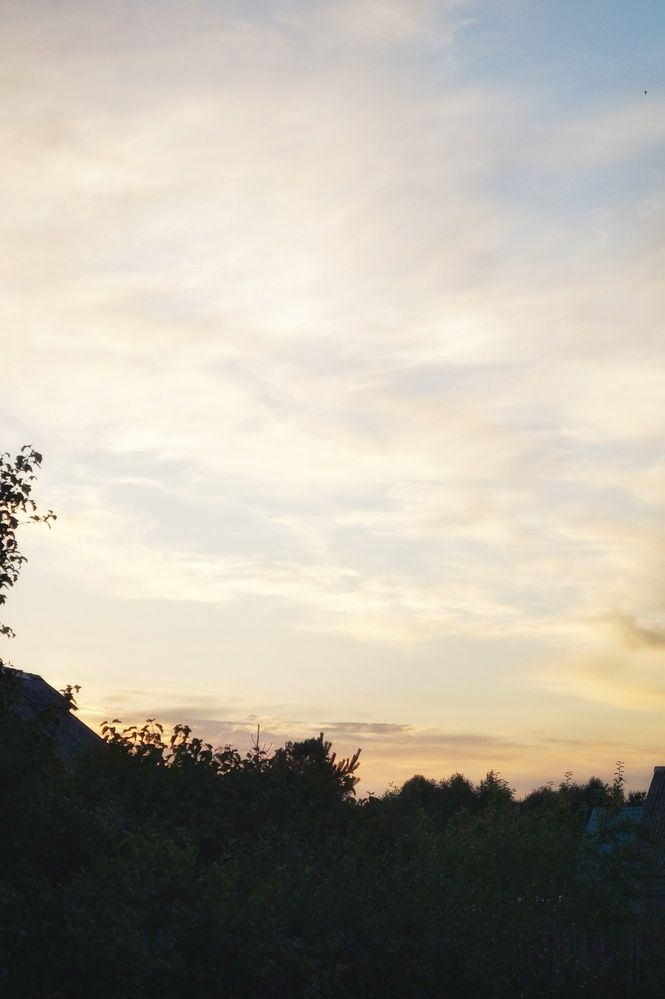 Photograph by Светлана Филина