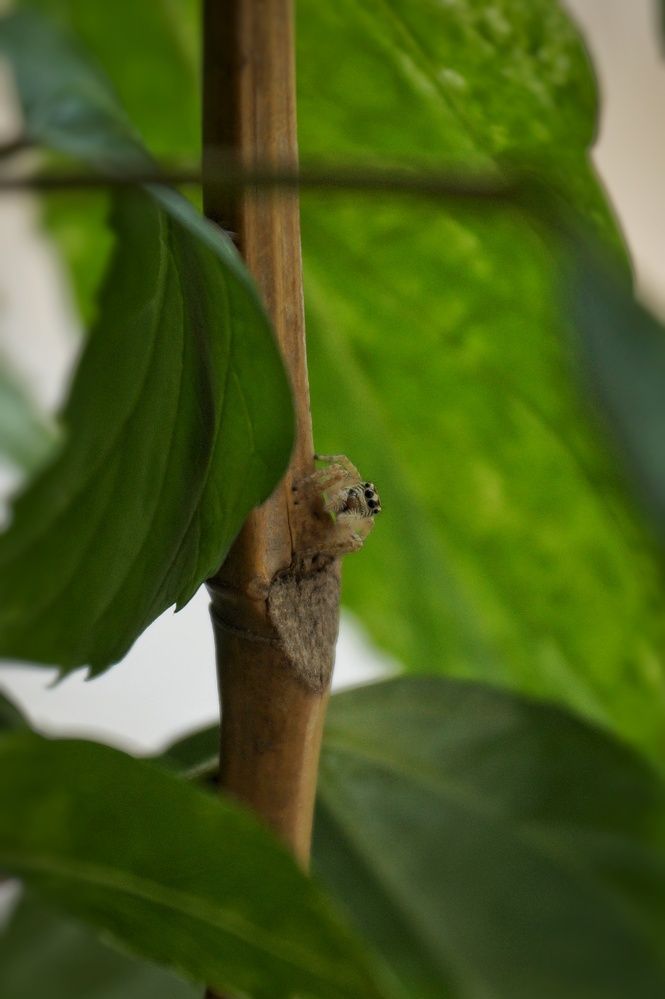 Фотография автора Маргарита Тетёркина