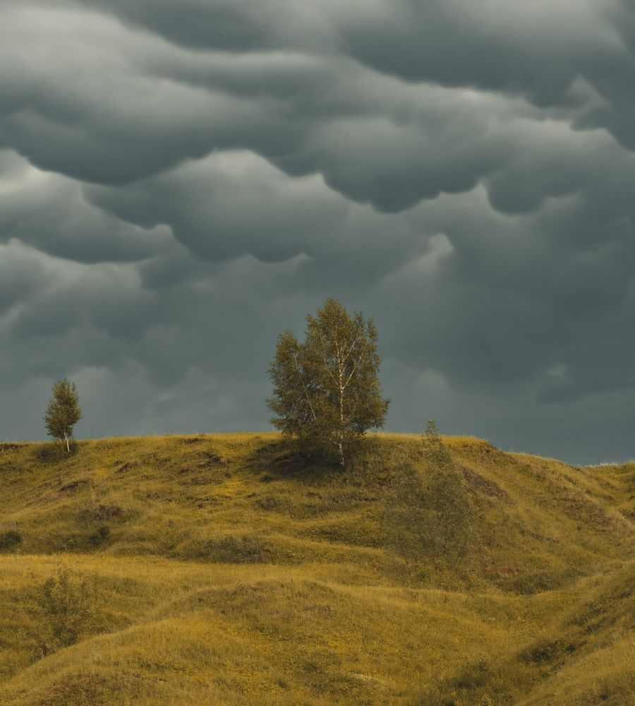 Photograph by Григорьев Константин