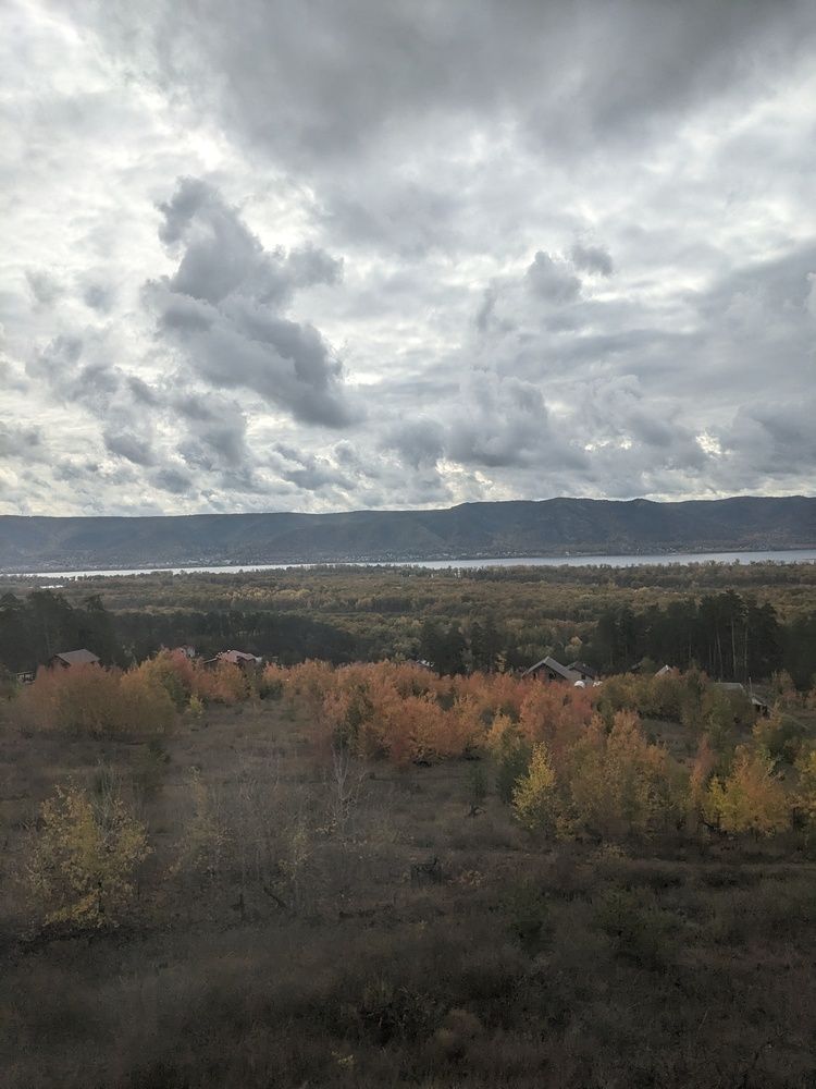 Photo #12521772