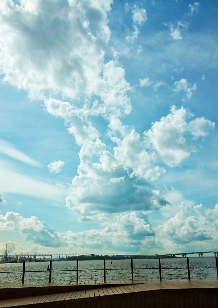 Photo #12521796