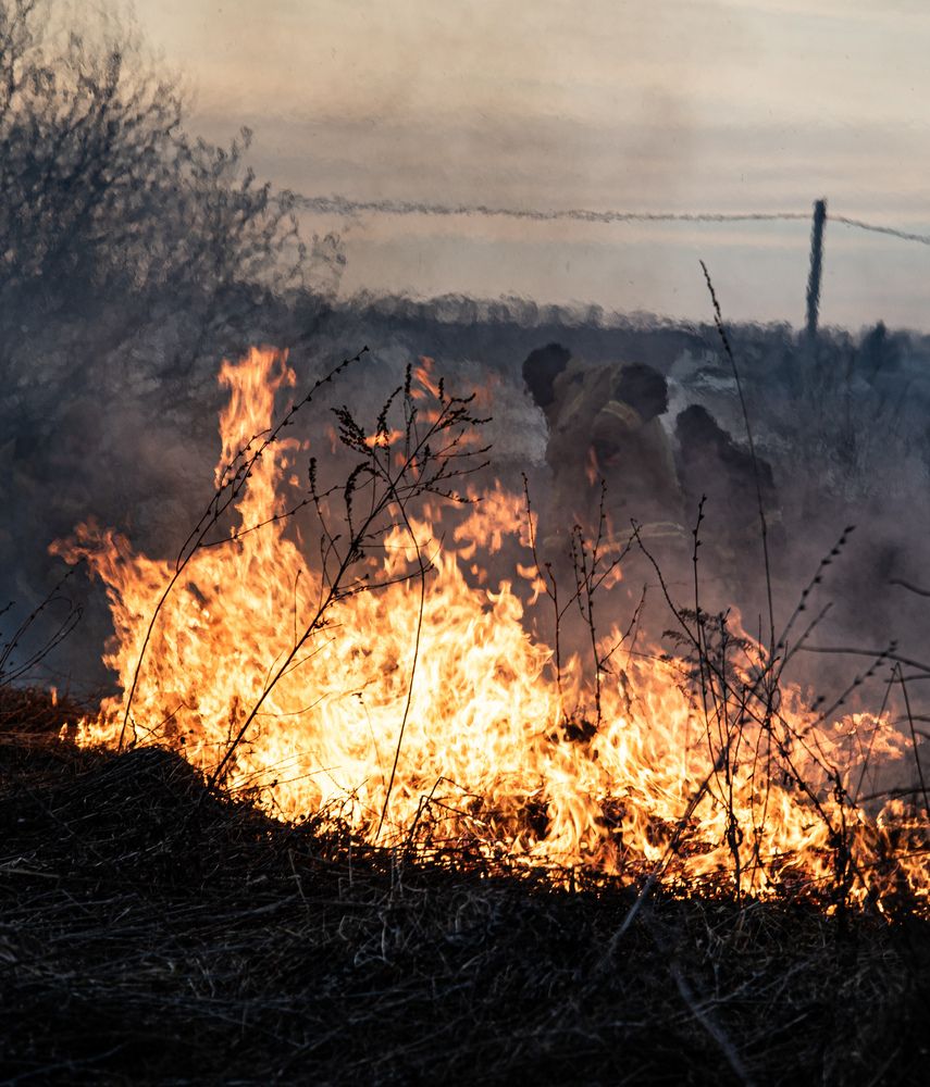 Photograph by Павел Соснин