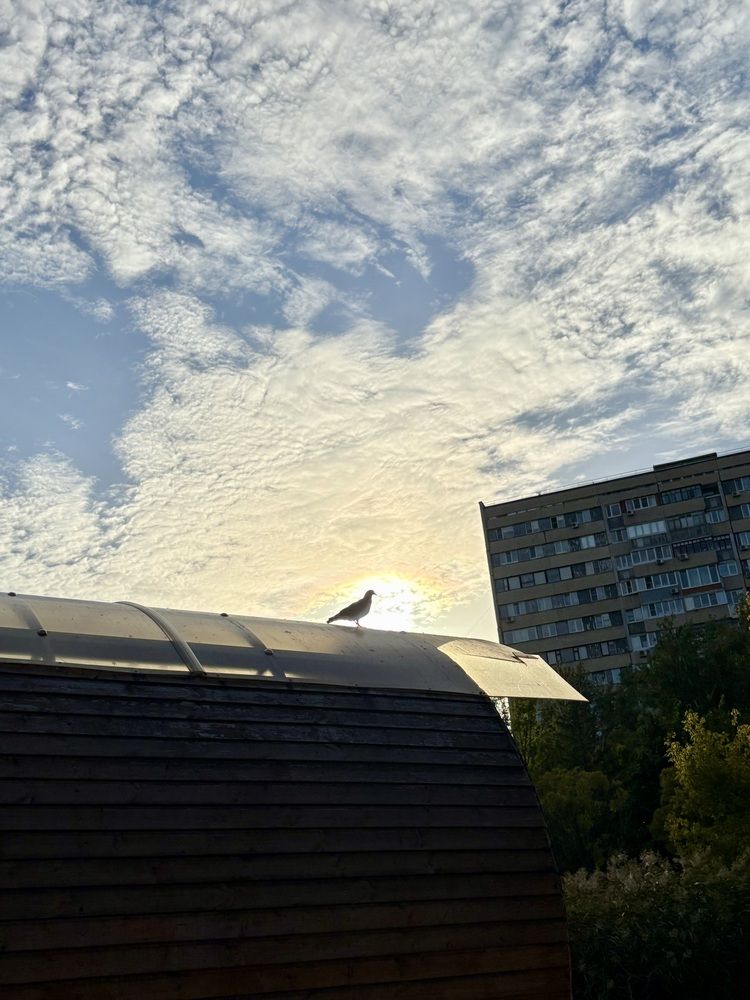 Photograph by Наталья Караблина