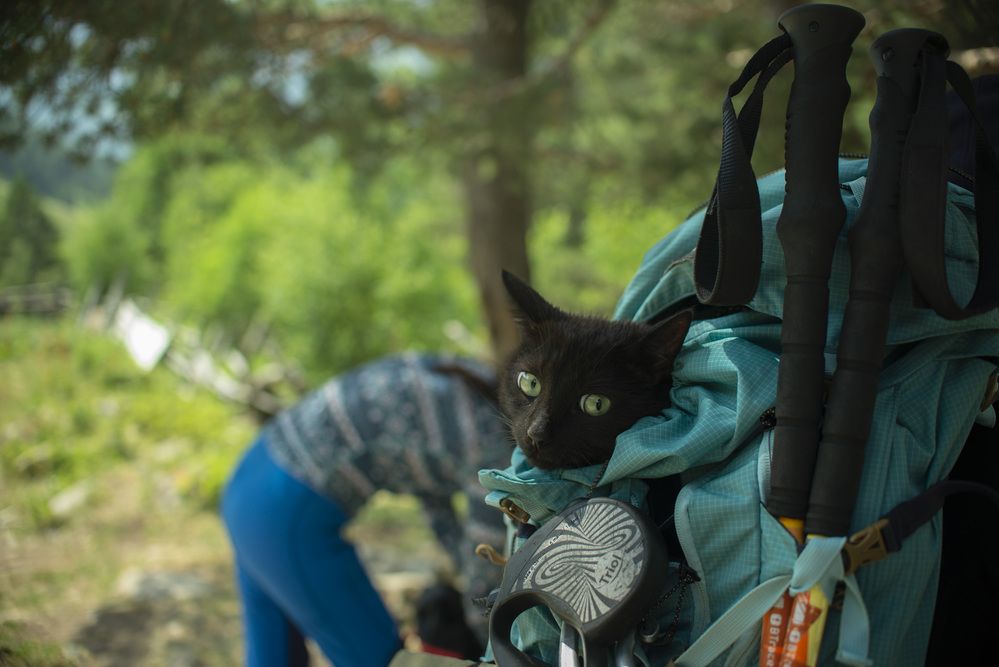 Photograph by Ольга Садохова