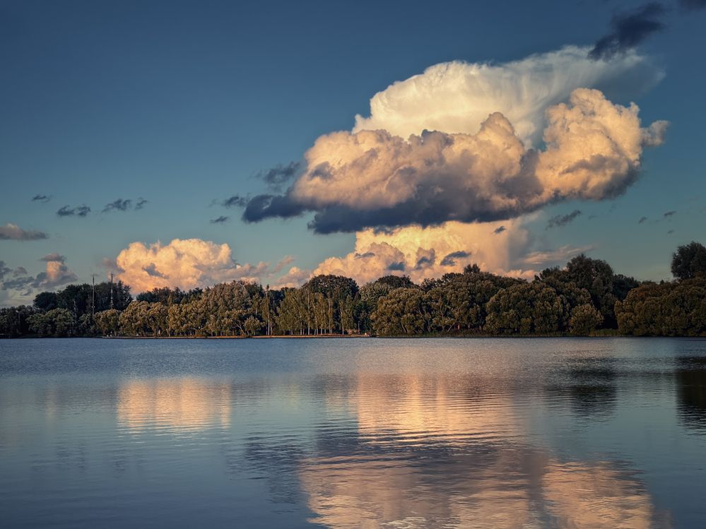 Фотография автора Васильева Светлана