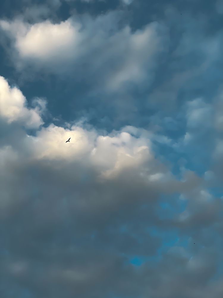 Фотография автора Юлия Максимова