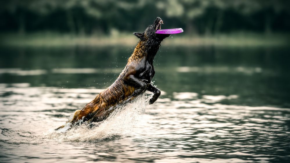 Photograph by Lucie Nermuťová