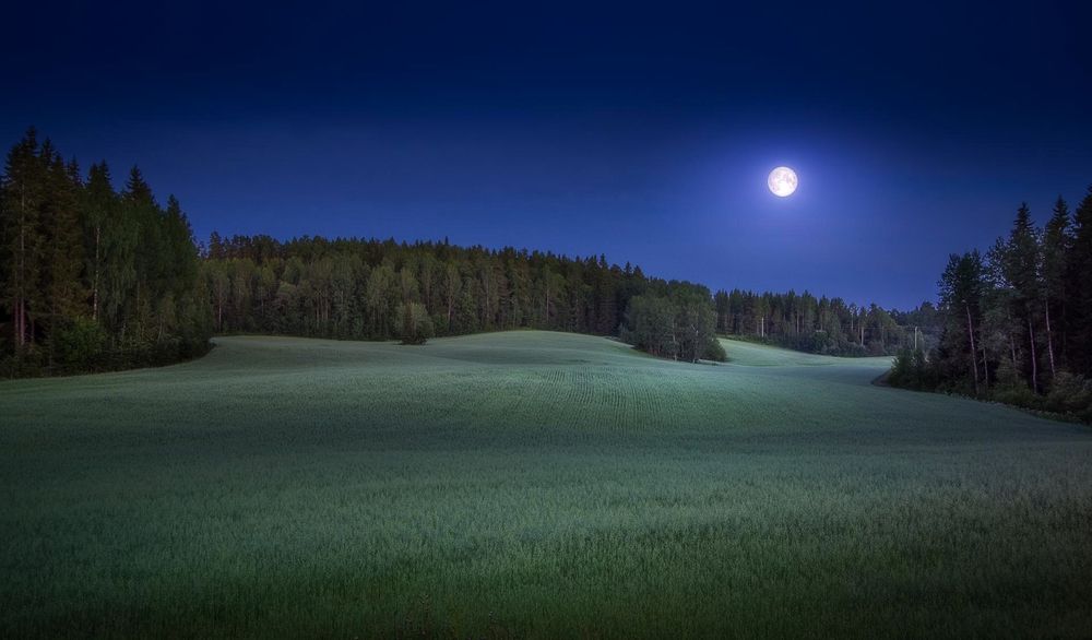 Photograph by Михаил Терёхин