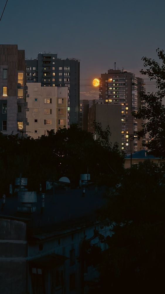 Photograph by Ольга Гетман