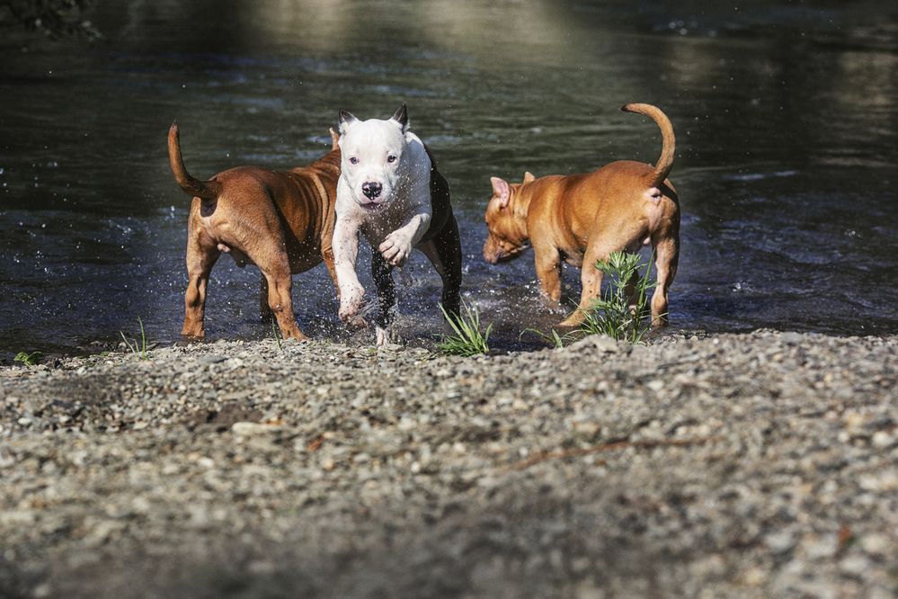 Photograph by Ольга Софронова