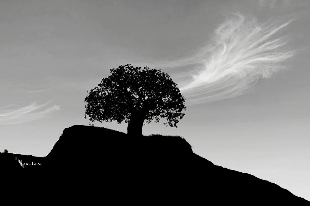 Photograph by Sherko Bahmani