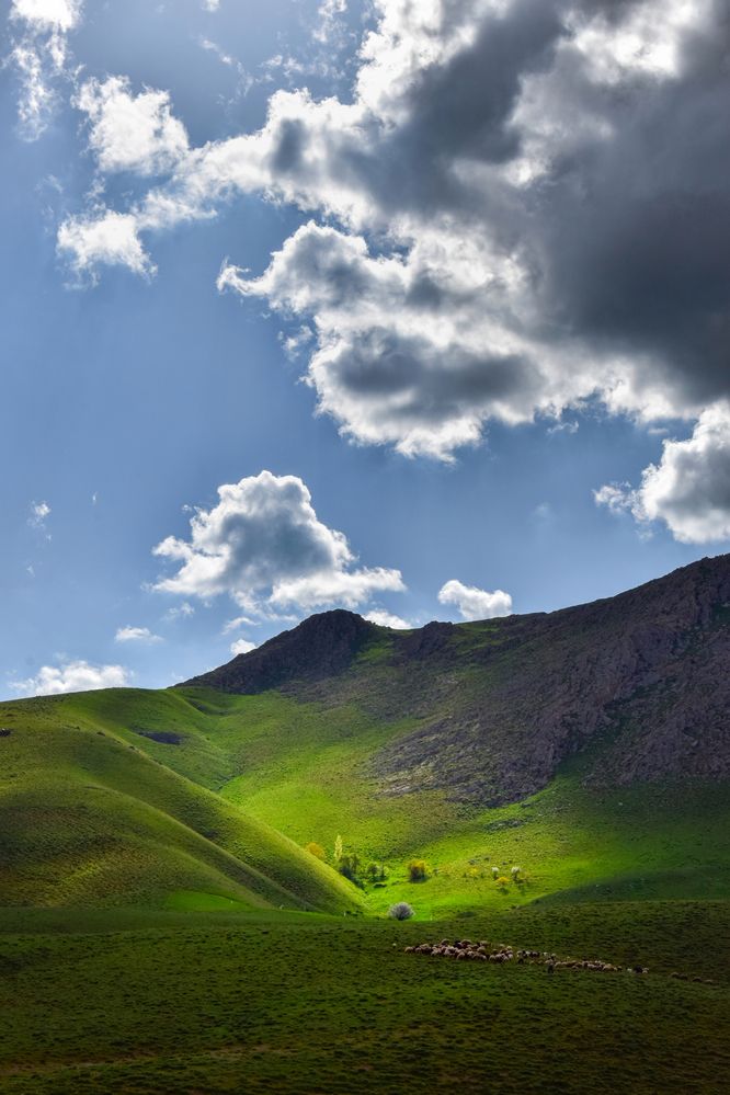 Photograph by Sherko Bahmani