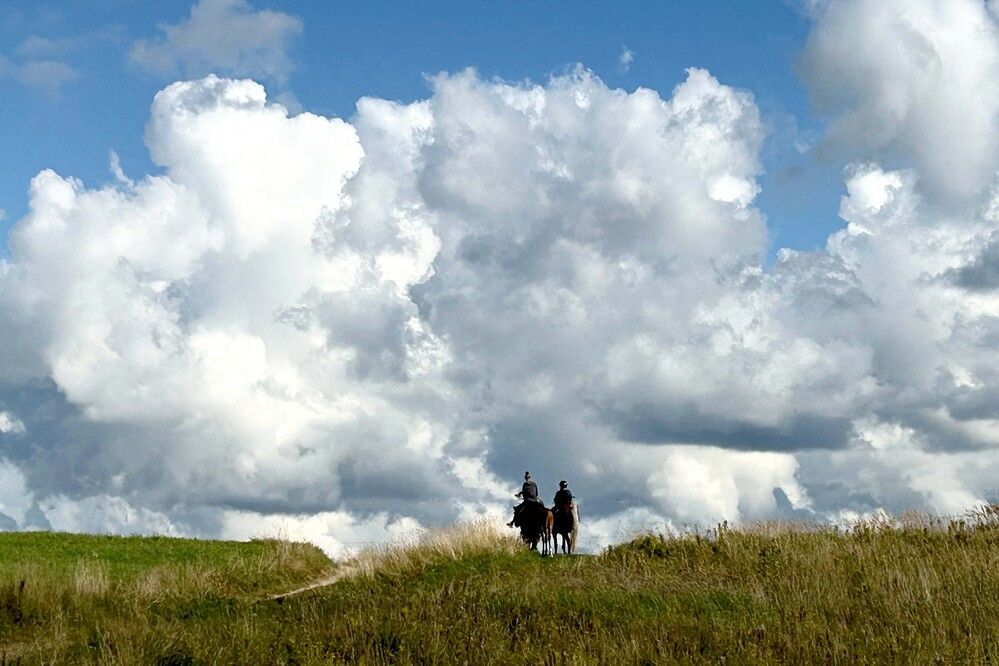 Photograph by Olga Smirnova