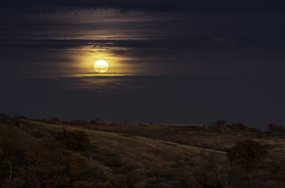 Photograph by Олег Коваль