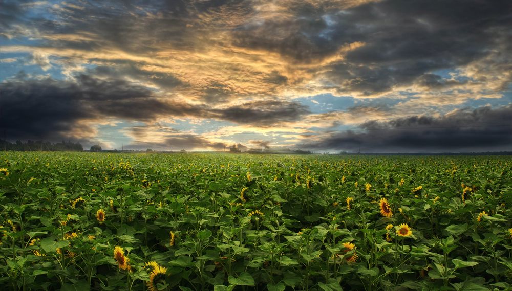 Фотография автора Юлия Кранина