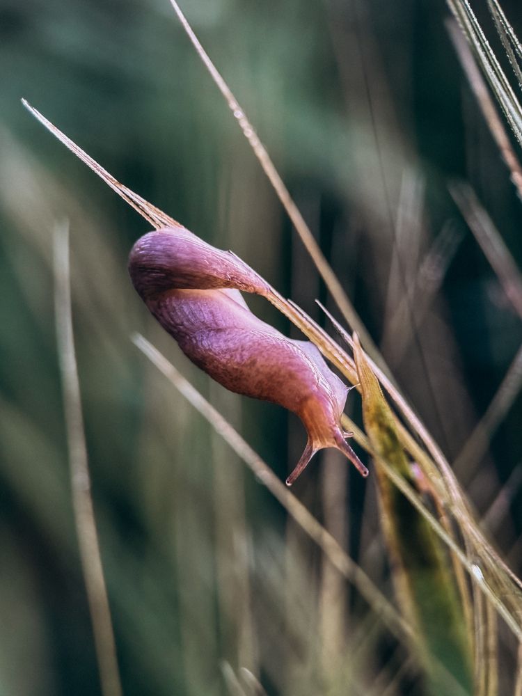 Photograph by Александра Кишикова