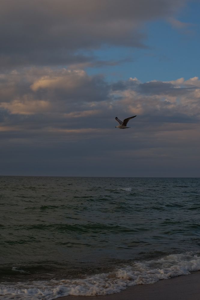 Photograph by Александра Кишикова