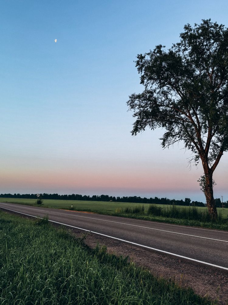 Photograph by Александра Кишикова