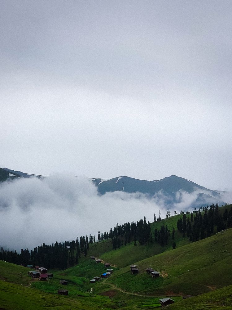 Photograph by Евгения Гродинская