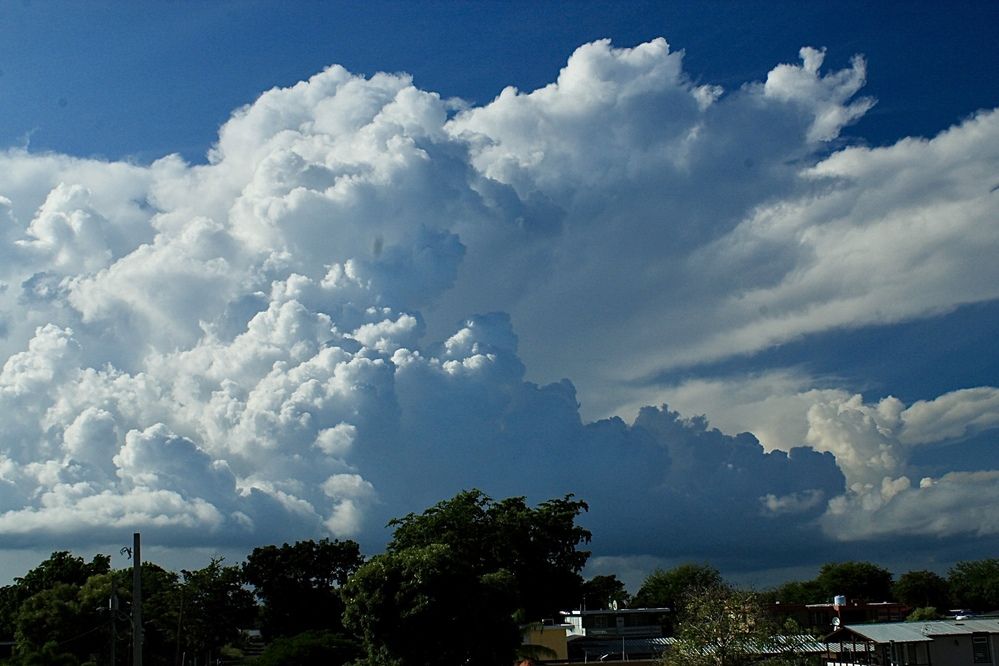 Photograph by Jose Otero