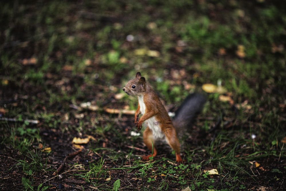 Photograph by Ольга Софронова