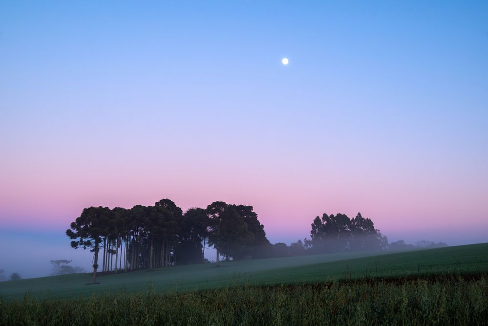 Photograph by Mateus Campos Felipe