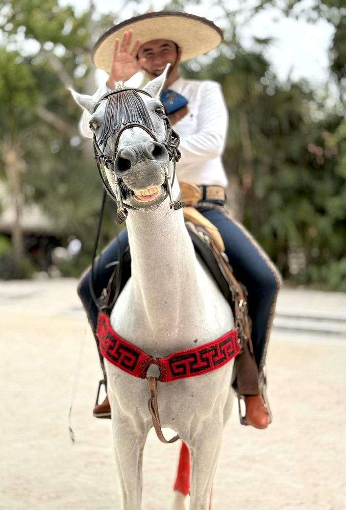 Фотография автора Ираида Гайфуллина