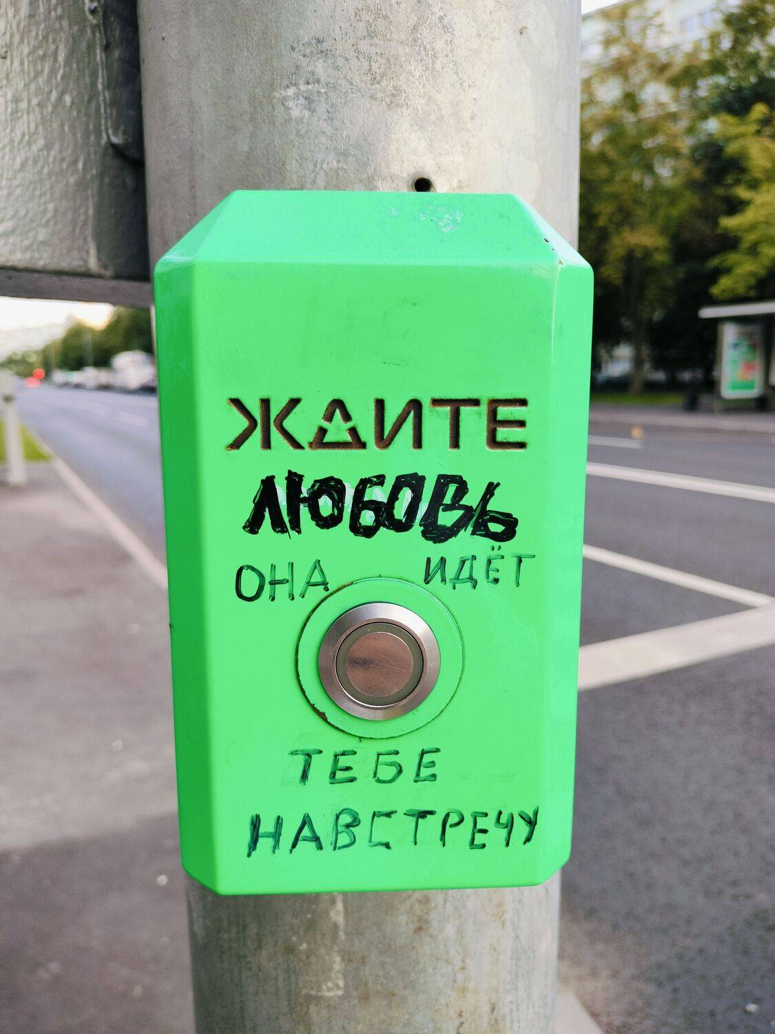 Photo #12523328