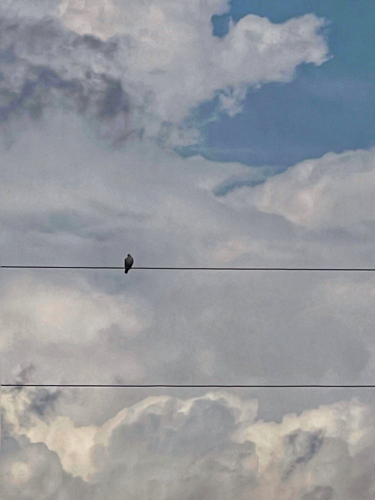 Photograph by Яна Сел