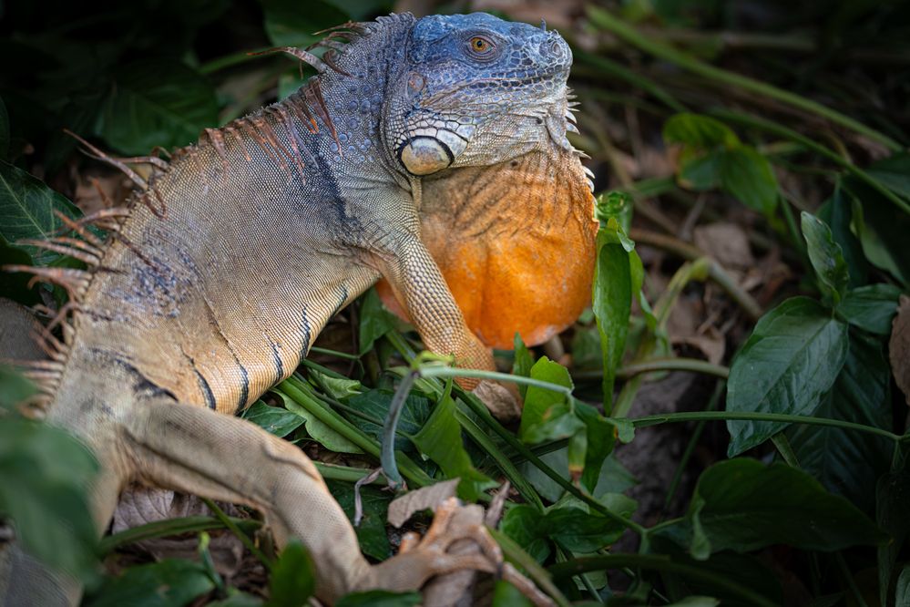 Photograph by Николай Фонарёв