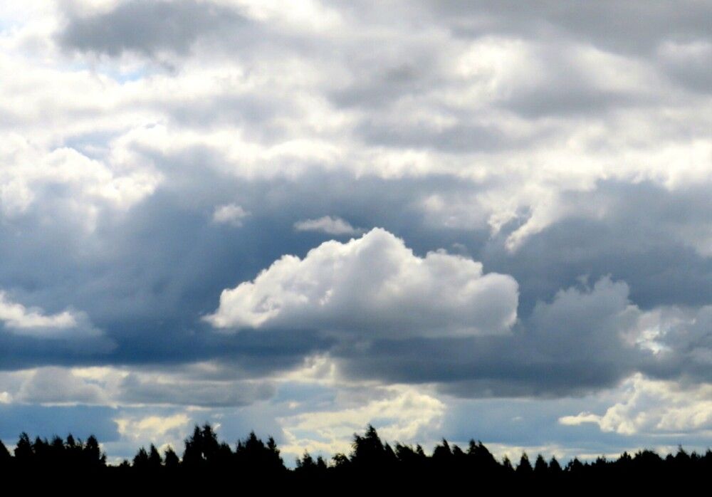 Photograph by Елена Кузина