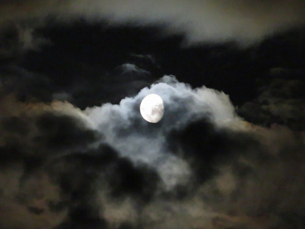 Photograph by Елена Кузина