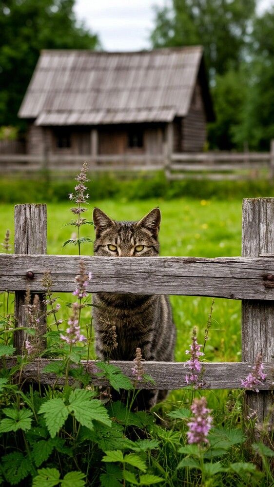 Photograph by Герасимов Игорь
