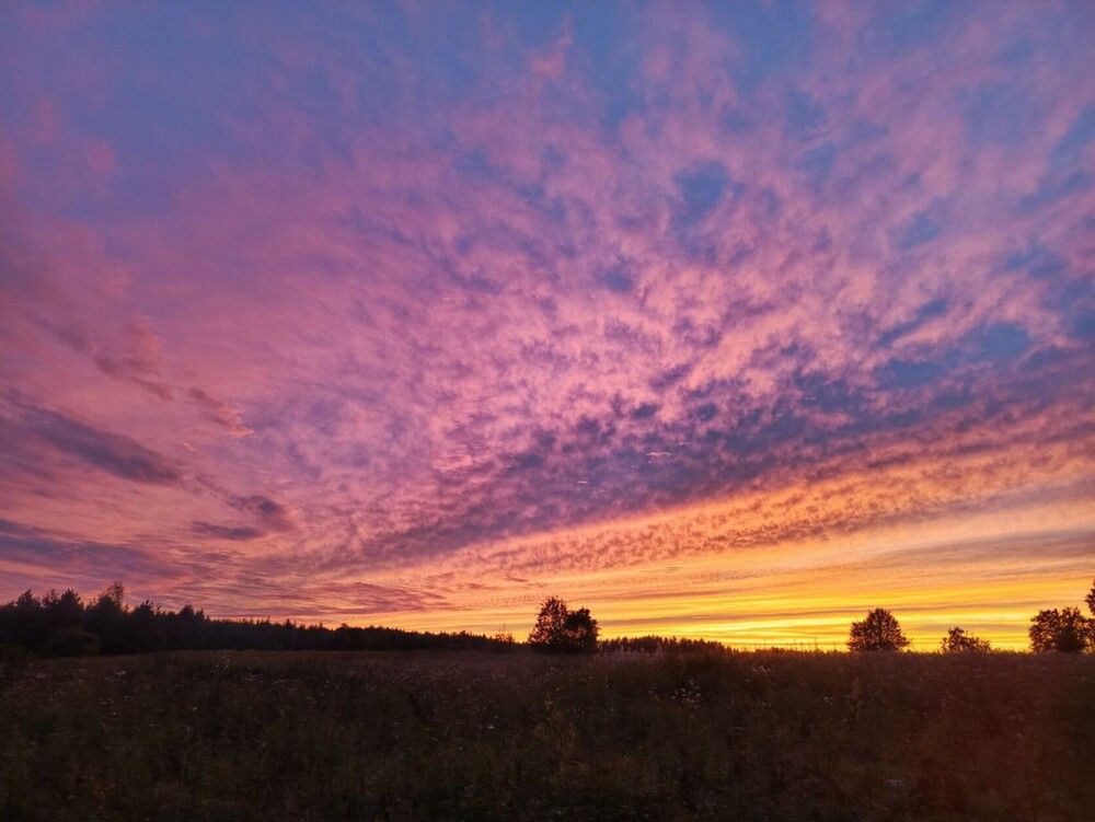 Photograph by Елена Кузина