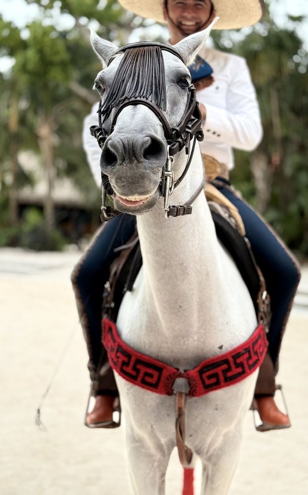 Фотография автора Ираида Гайфуллина