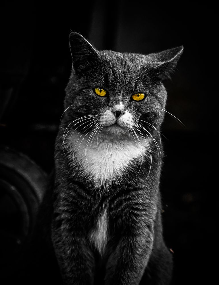 Photograph by Остапенко Юрий