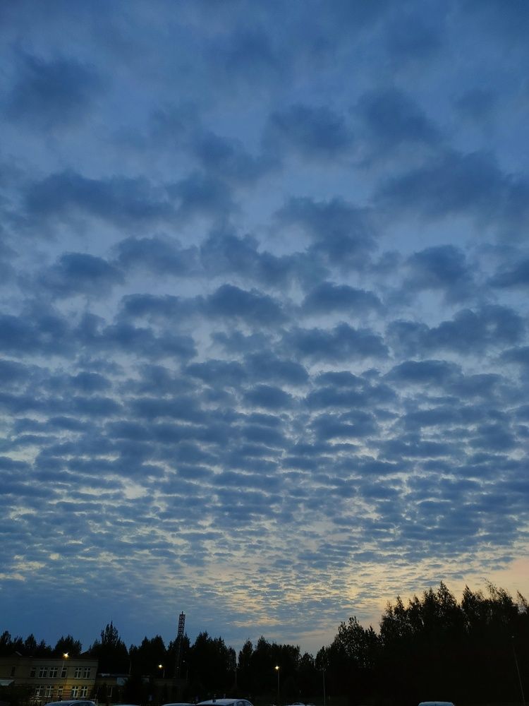 Photograph by Татьяна