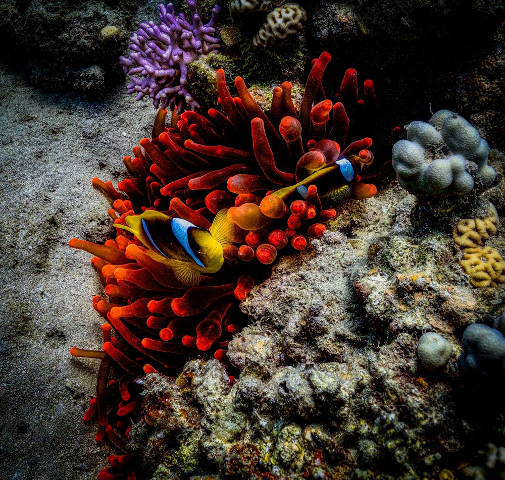 Photograph by Дмитрий Плотников