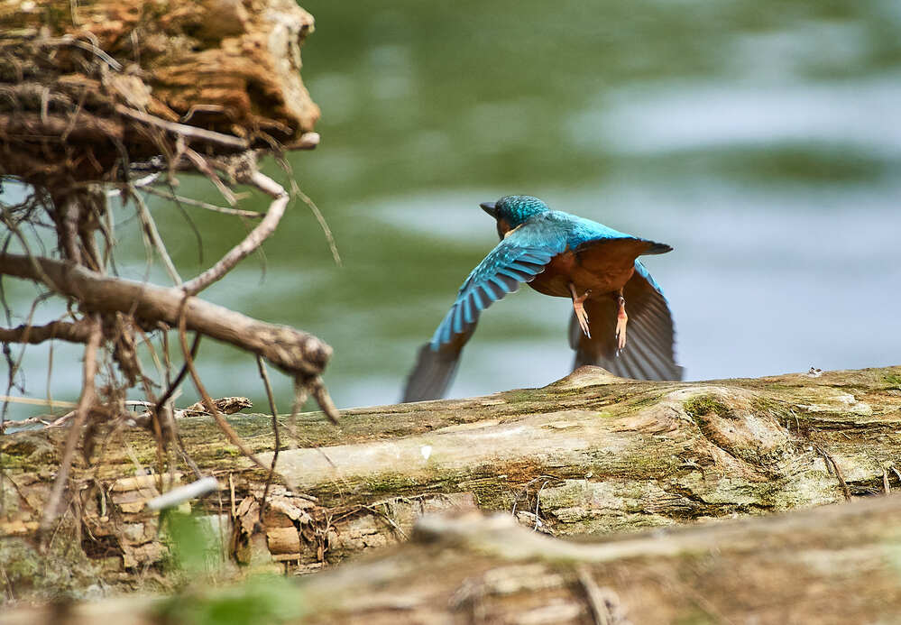 Photograph by Шабалин Игорь
