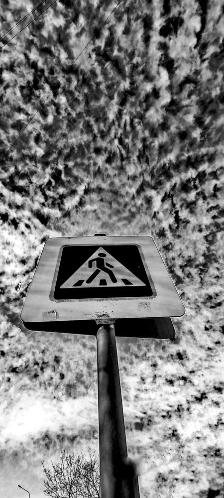 Photograph by Olga Goncharova