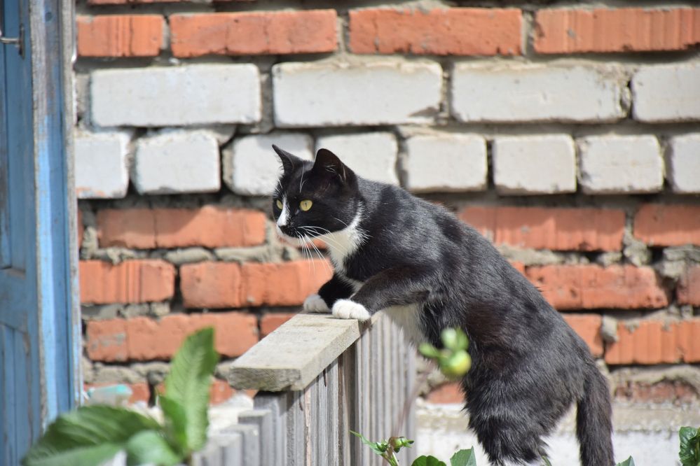 Photograph by Роман Блинов