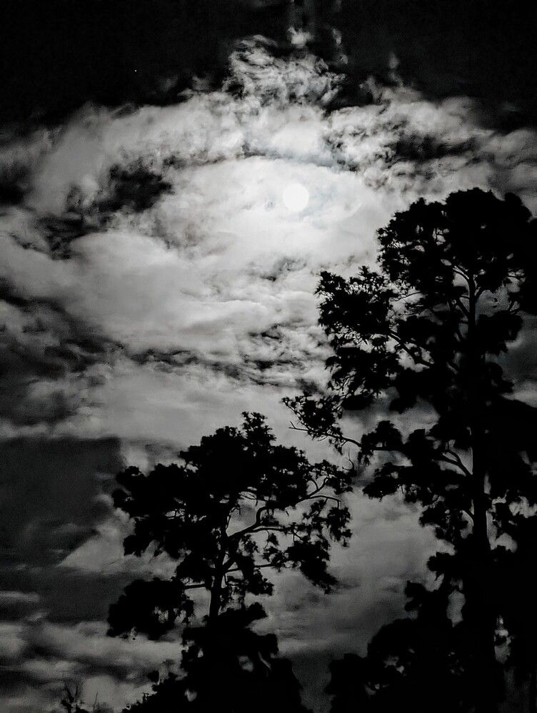 Фотография автора Рузинова Елена