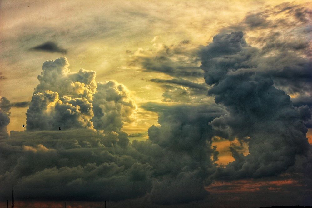 Photograph by Владимир Сушкин