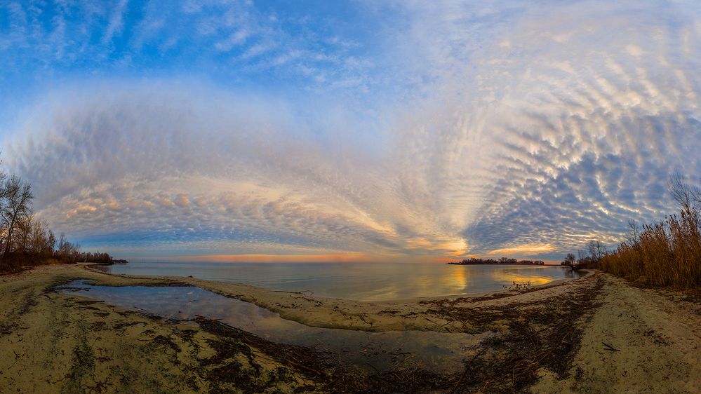 Крылья рассвета