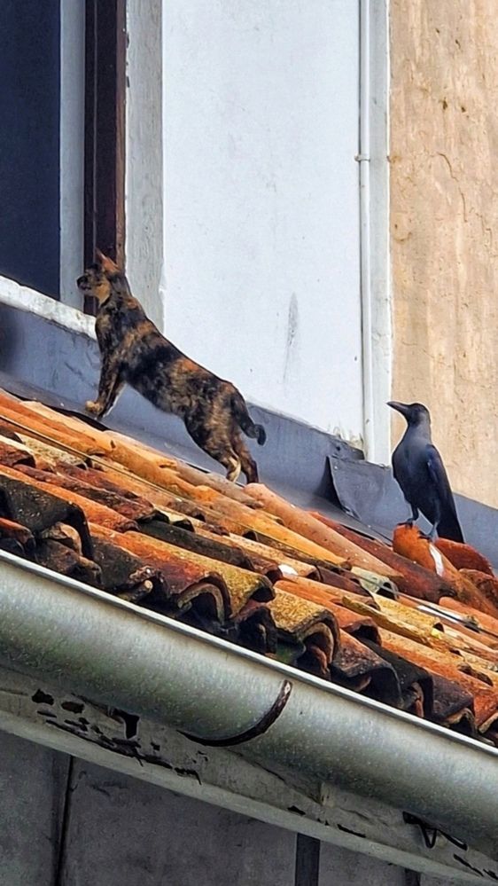 Photograph by Maria Osipova