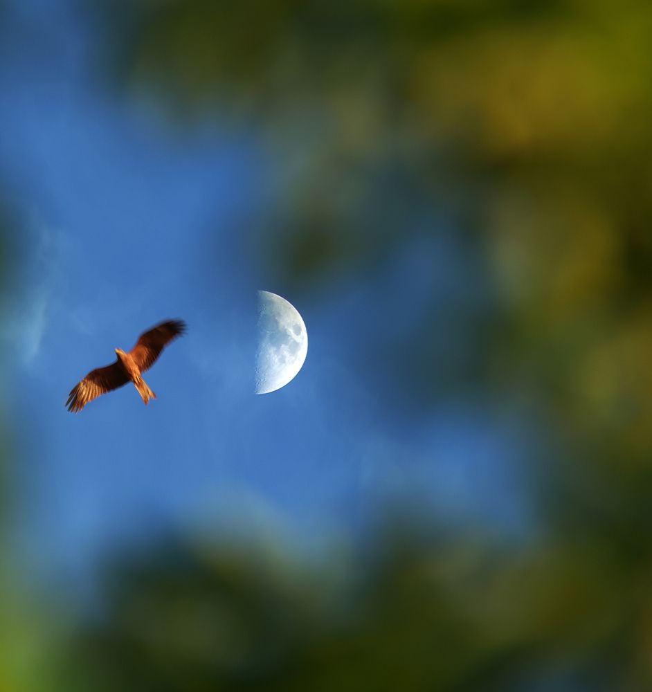 Рядом с луной